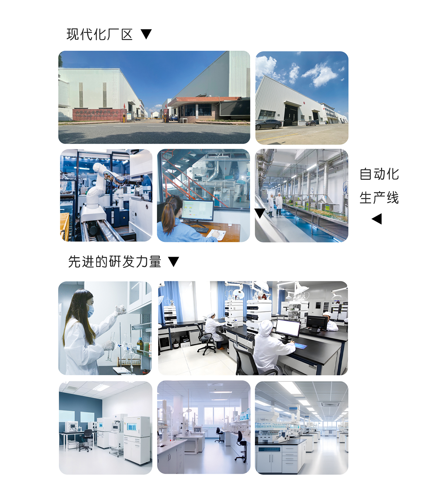 未标题-2