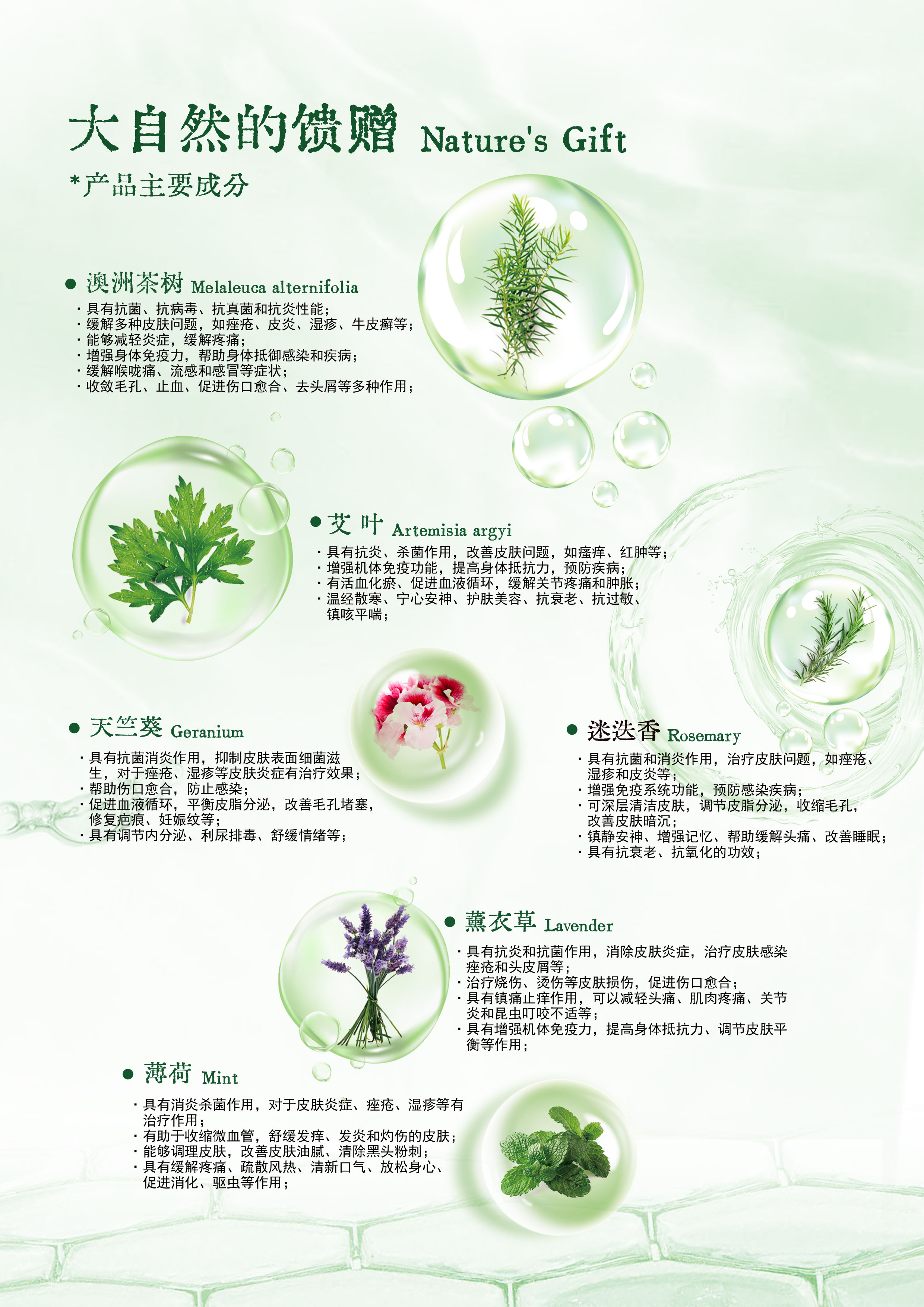 6品牌手册-成分1