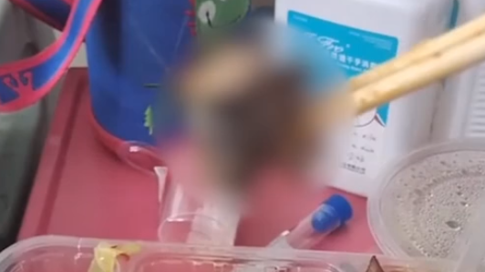 医院里的老鼠又出事,灭鼠指引来了!